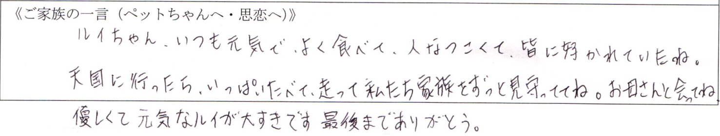 ルイちゃん、いつも元気で、よく食べて、人なつこくて、みんなに好かれていたね。天国に行ったら、いっぱいたべて、走って私たち家族をずっと見守っててね。お母さんと会ってね。優しくて元気なルイが大すきです最後までありがとう。