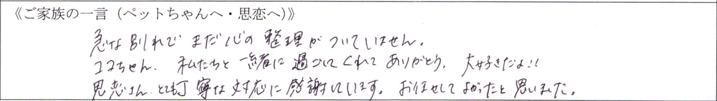 急な別れでまだ心の整理がついていません。ココちゃん、私たちと一緒に過ごしてくれてありがとう。大好きだよ！！思恋さん、とても丁寧な対応に感謝しています。お任せしてよかったと思いました。