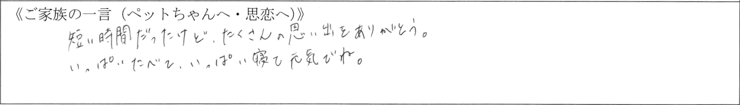 短い時間だったけどたくさんの思い出をありがとう。いっぱいたべて、いっぱい寝て元気でね。