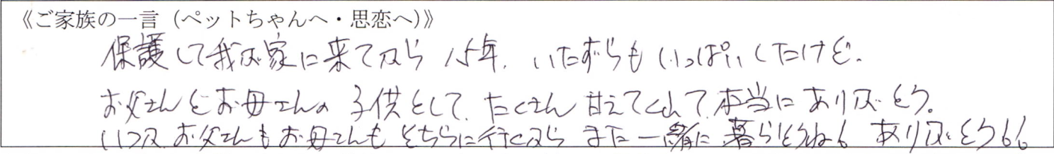 保護して我が家に来てから15年、いたずらもいっぱいしたけど、お父さんとお母さんの子供として、たくさん甘えてくれて本当にありがとう。いつかお父さんもお母さんもそちらに行くからまた一緒に暮らそうね。ありがとう。