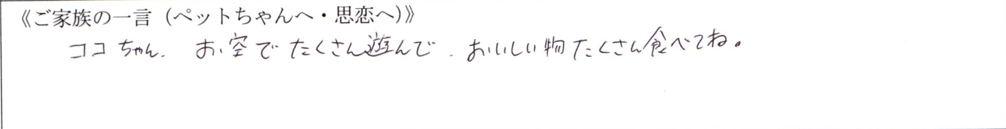 ココちゃん、お空でたくさん遊んでおいしい物たくさん食べてね。