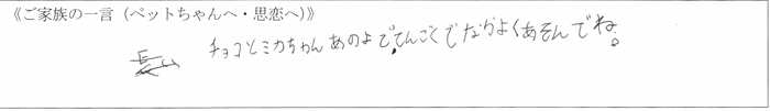 チョコとミカちゃん。あのよでてんごくでなかよくあそんでね。